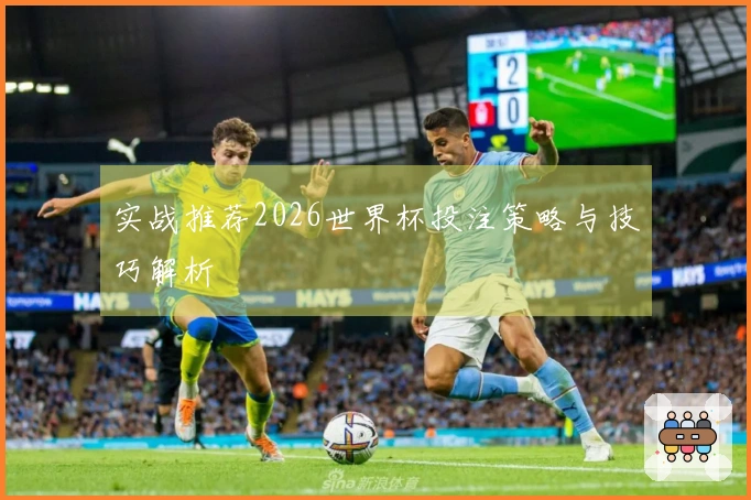 实战推荐2026世界杯投注策略与技巧解析