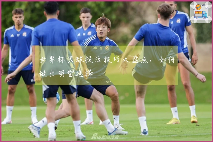 世界杯买球投注技巧大盘点，如何做出明智选择