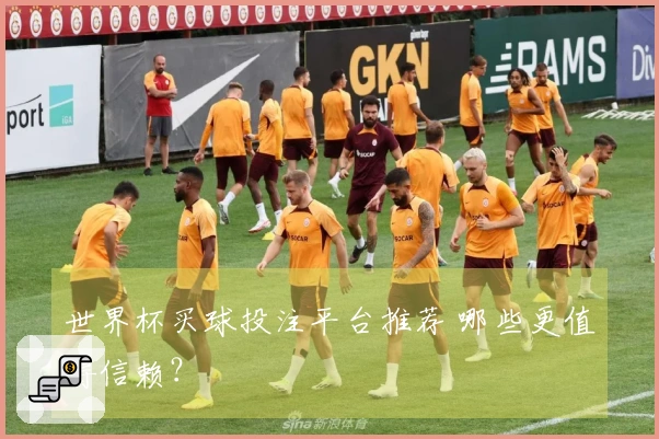 世界杯买球投注平台推荐 哪些更值得信赖？