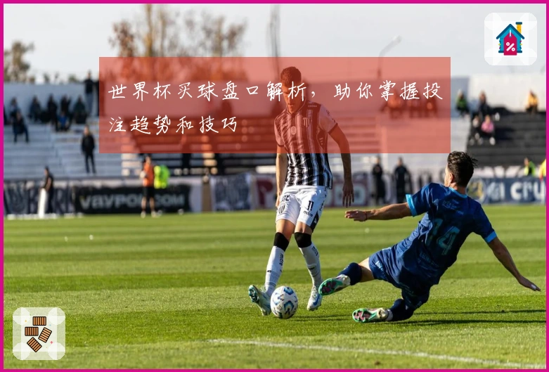 世界杯买球盘口解析，助你掌握投注趋势和技巧