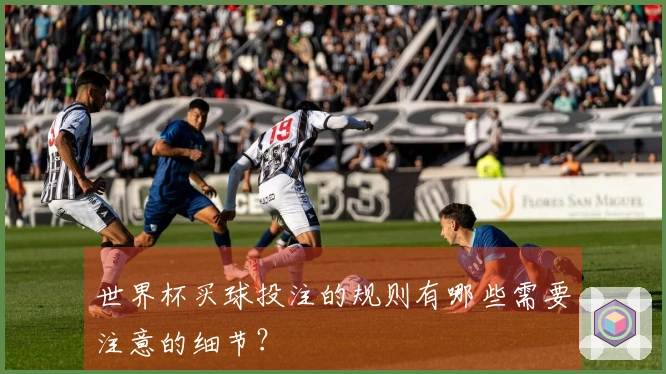 世界杯买球投注的规则有哪些需要注意的细节？
