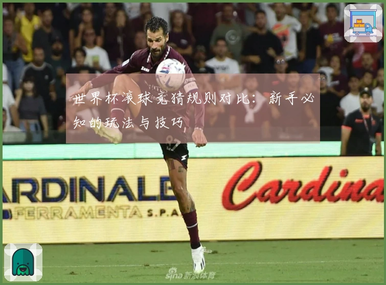 世界杯滚球竞猜规则对比：新手必知的玩法与技巧