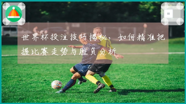 世界杯投注技巧揭秘，如何精准把握比赛走势与胜负分析