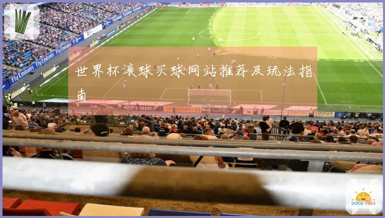 世界杯滚球买球网站推荐及玩法指南